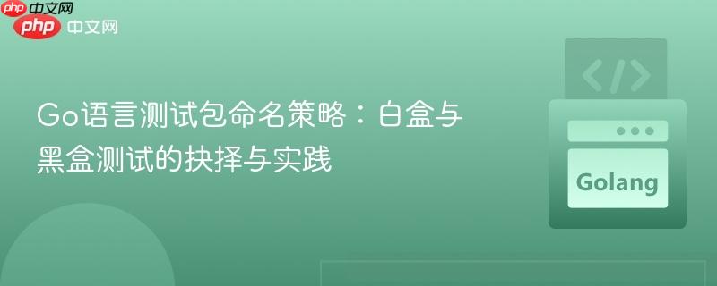 Go语言测试包命名策略:白盒与黑盒测试的抉择与实践
