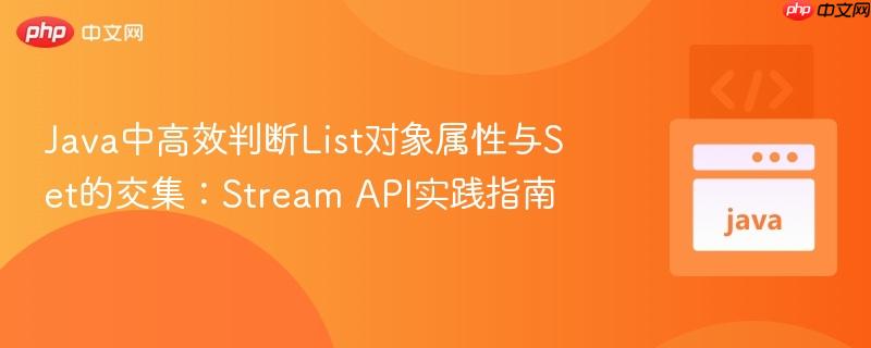 Java中高效判断List对象属性与Set的交集:Stream API实践指南