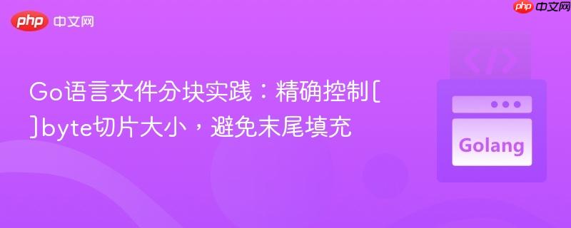 Go语言文件分块实践：精确控制[]byte切片大小，避免末尾填充
