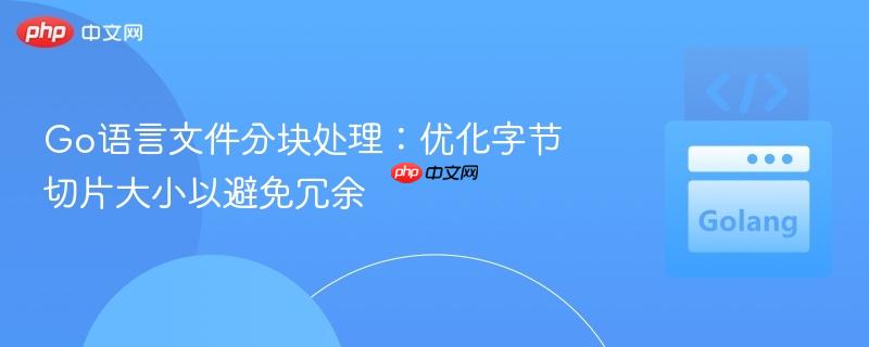 Go语言文件分块处理:优化字节切片大小以避免冗余