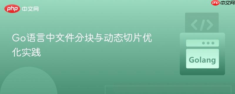 Go语言中文件分块与动态切片优化实践
