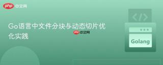 Go语言中文件分块与动态切片优化实践