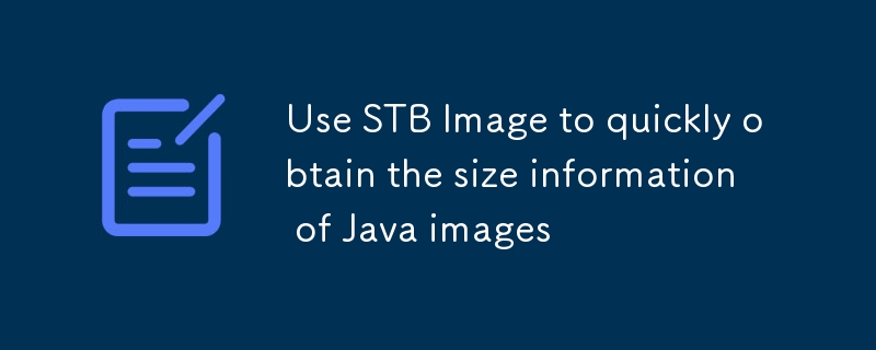 Verwenden Sie STB Image, um schnell Größeninformationen von Java-Bildern zu erhalten