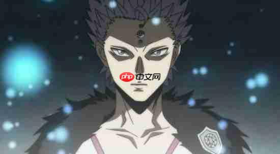 《黑色四叶草魔法帝之道》防卫者一览