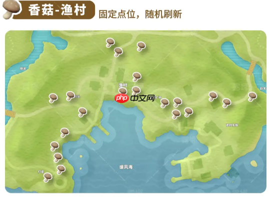 《心动小镇》全蘑菇收集点位介绍