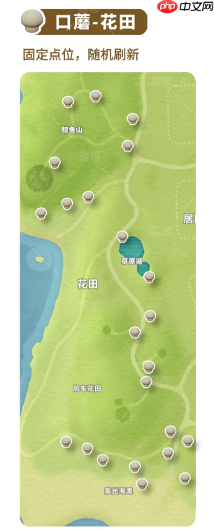 《心动小镇》全蘑菇收集点位介绍