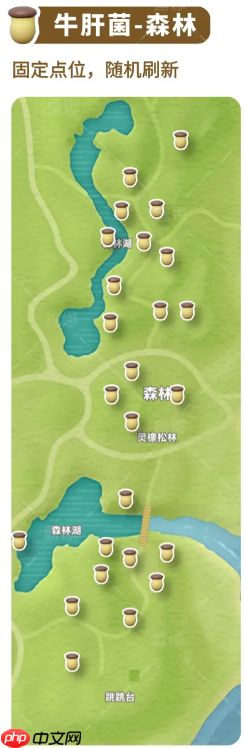 《心动小镇》全蘑菇收集点位介绍