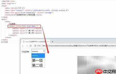 设置form下拉菜单字体大小