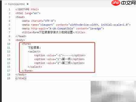 设置form下拉菜单字体大小