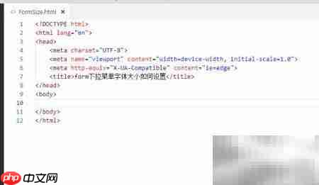 设置form下拉菜单字体大小