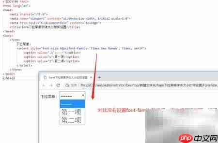 设置form下拉菜单字体大小