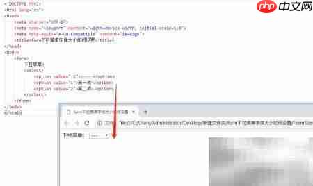 设置form下拉菜单字体大小