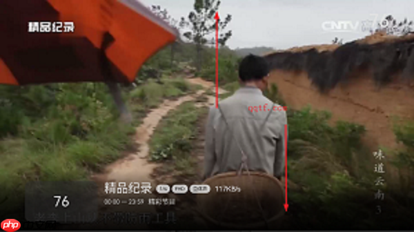 小飞电视app使用教程