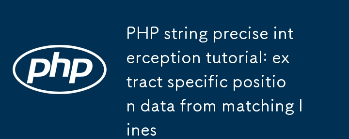 Tutorial zum präzisen Abfangen von PHP-Strings: Extrahieren Sie spezifische Positionsdaten aus übereinstimmenden Zeilen