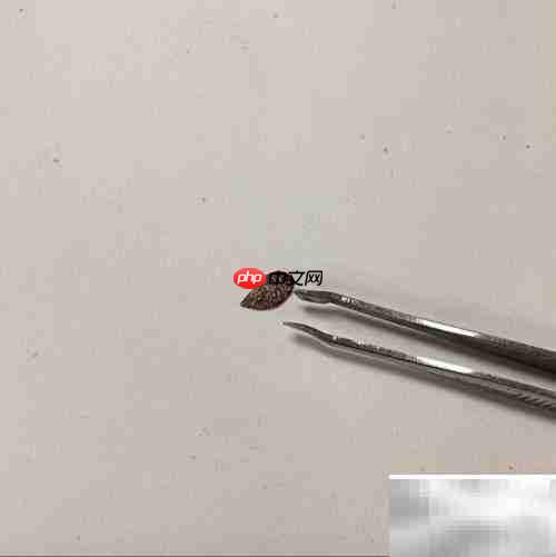 剪出树叶上的中国龙