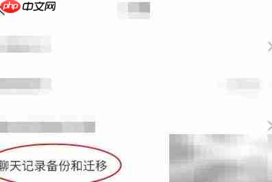 鸿信聊天记录备份方法