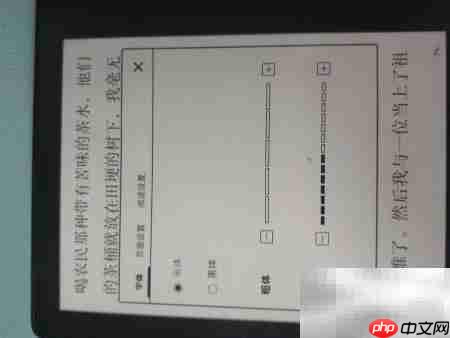 Kindle字体大小调节方法