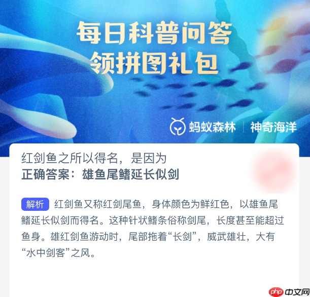 红剑鱼之所以得名是因为