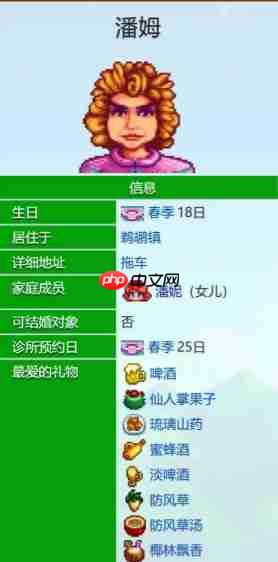 《星露谷物语》潘姆爱心事件一览