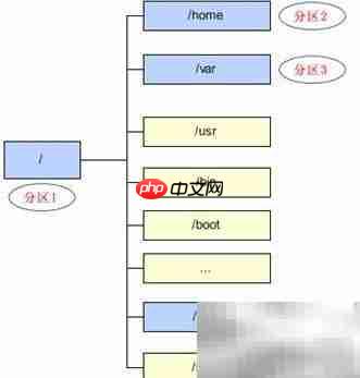 Linux根目录结构解析