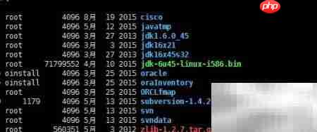 Linux根目录结构解析
