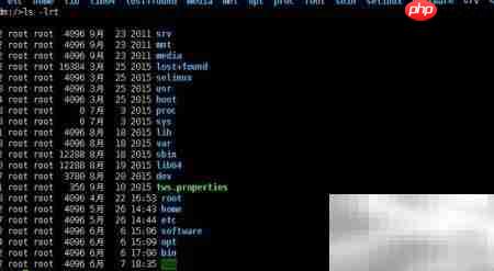 Linux根目录结构解析