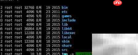 Linux根目录结构解析