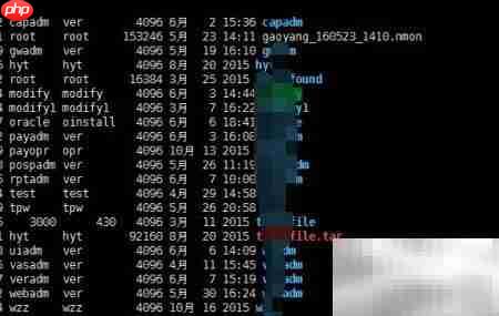 Linux根目录结构解析