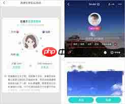 Soul语音房掉线频繁的原因是什么