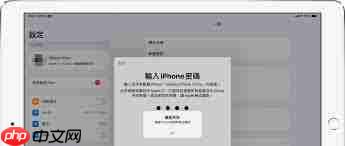 Apple账户验证一直弹出怎么办