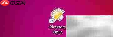 directory opus按钮间距设置