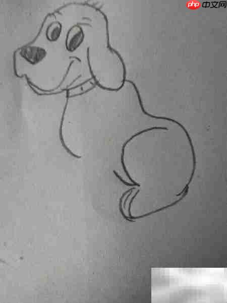 简笔画：看家狗