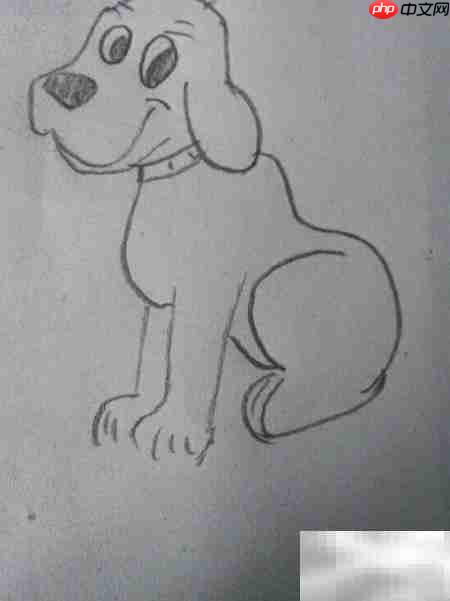 简笔画：看家狗