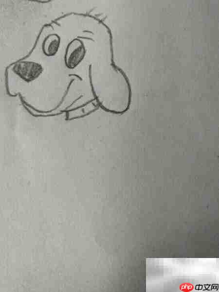 简笔画：看家狗