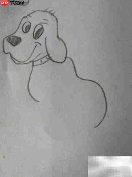 简笔画：看家狗