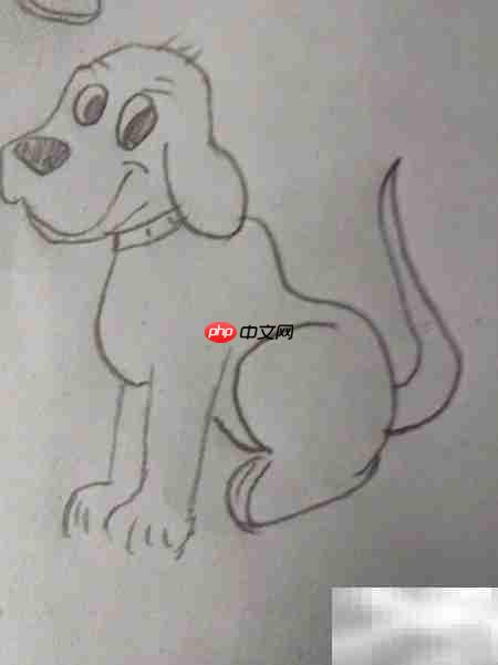 简笔画：看家狗