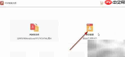 PDF转换大师去水印方法