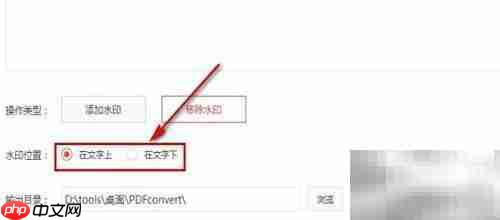 PDF转换大师去水印方法
