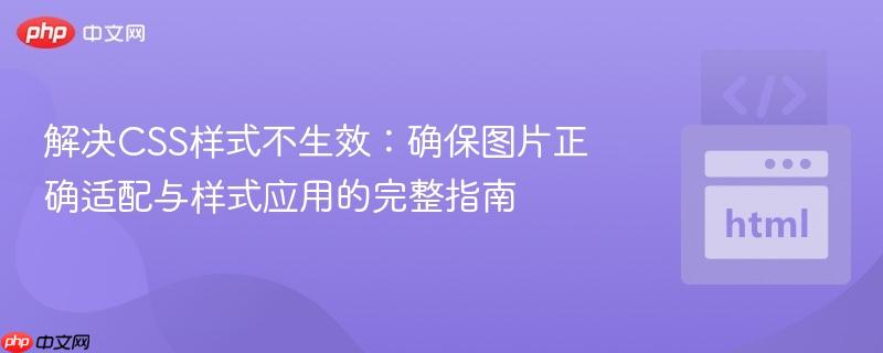 解决CSS样式不生效:确保图片正确适配与样式应用的完整指南