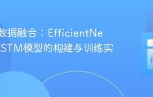 多模态数据融合：EfficientNetB0与LSTM模型的构建与训练实践