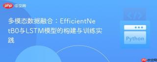 多模态数据融合：EfficientNetB0与LSTM模型的构建与训练实践