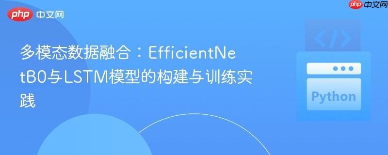 多模态数据融合：EfficientNetB0与LSTM模型的构建与训练实践
