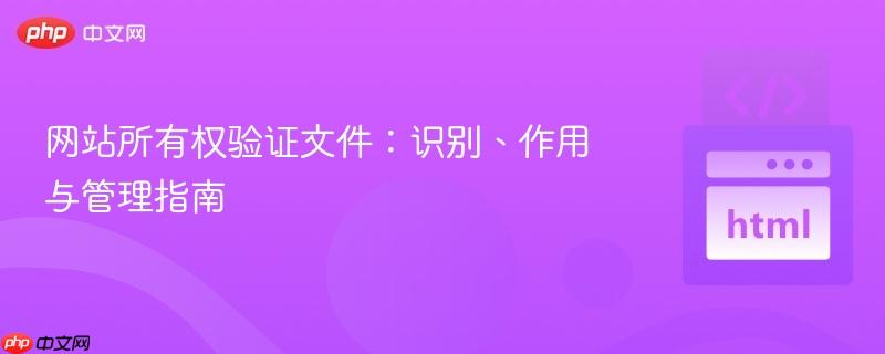 网站所有权验证文件：识别、作用与管理指南
