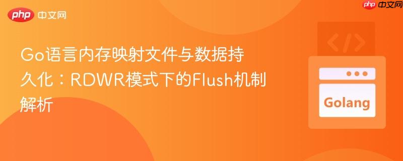 Go语言内存映射文件与数据持久化：RDWR模式下的Flush机制解析
