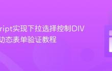 JavaScript实现下拉选择控制DIV显示与动态表单验证教程