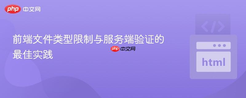 前端文件类型限制与服务端验证的最佳实践

