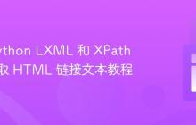 使用 Python LXML 和 XPath 稳健提取 HTML 链接文本教程