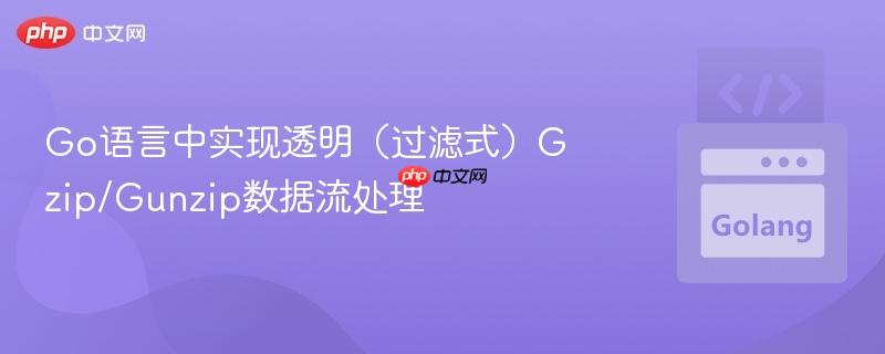 Go语言中实现透明（过滤式）Gzip/Gunzip数据流处理
