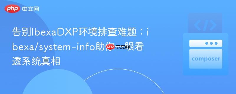 告别ibexadxp环境排查难题：ibexa/system-info助你一眼看透系统真相