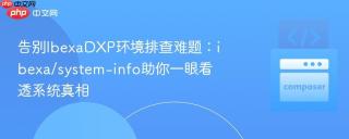 告别IbexaDXP环境排查难题：ibexa/system-info助你一眼看透系统真相